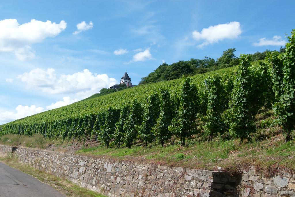 Ferienwohnung Weber Zell an der Mosel Esterno foto